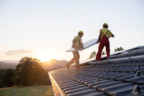 Best Skylight Installation and Repair  in Leadville, CO