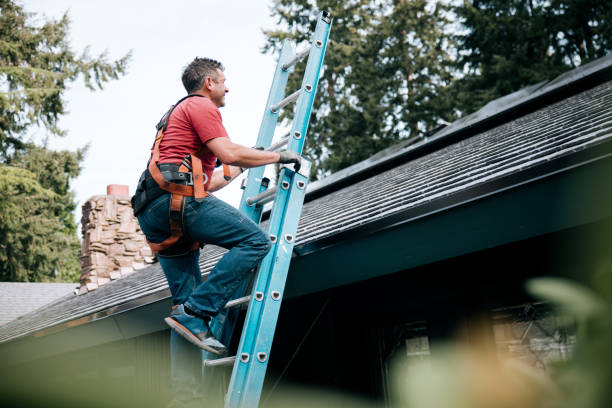 Best Roof Maintenance and Cleaning  in Leadville, CO